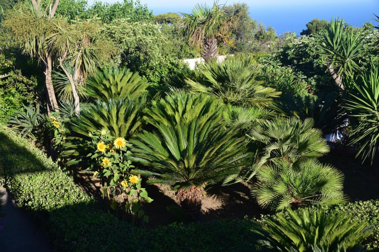 Oasi Di Villa Damecuta Anacapri  Exterior photo